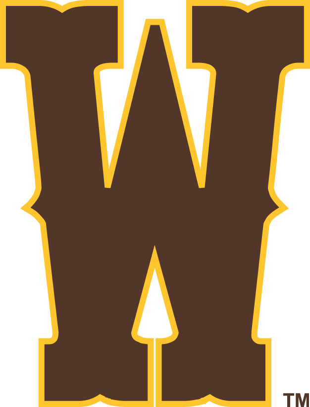 Wyoming Cowboys 2013-Pres Secondary Logo t shirts iron on transfers